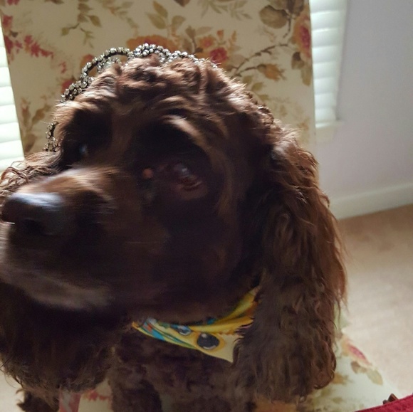 Meet your Posher, Alexandra - Picture 5 of 13